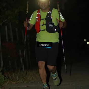 Runner Photo 5232205