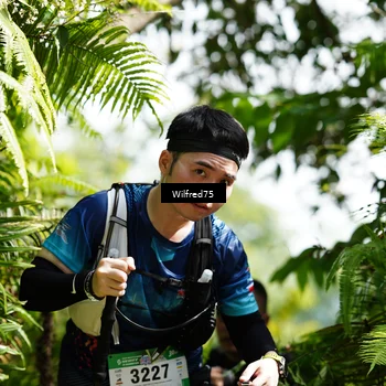 Runner Photo 5232301