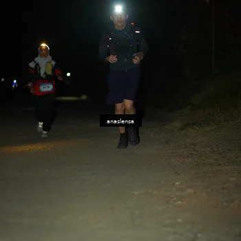 Runner Photo 5232307