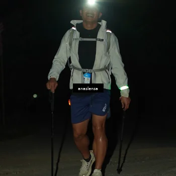 Runner Photo 5232330