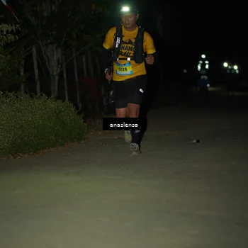 Runner Photo 5232376