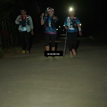 Runner Photo 5232439