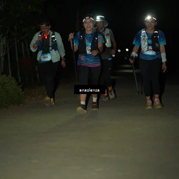 Runner Photo 5232452