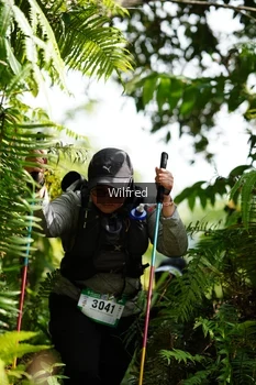 Runner Photo 5232582