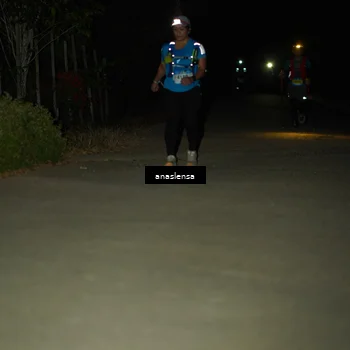 Runner Photo 5232639