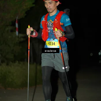Runner Photo 5232730