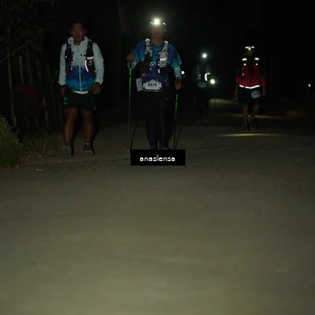 Runner Photo 5232812