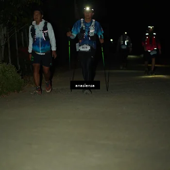 Runner Photo 5232827