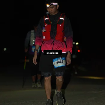 Runner Photo 5232833