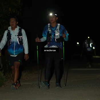 Runner Photo 5232840