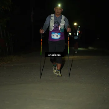 Runner Photo 5232904