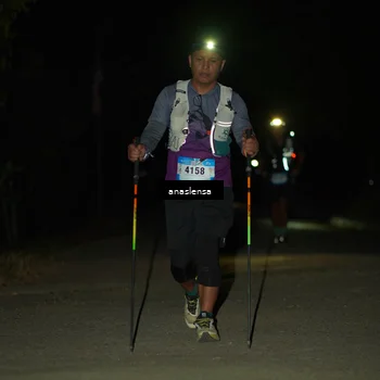 Runner Photo 5232905