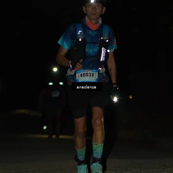 Runner Photo 5232954