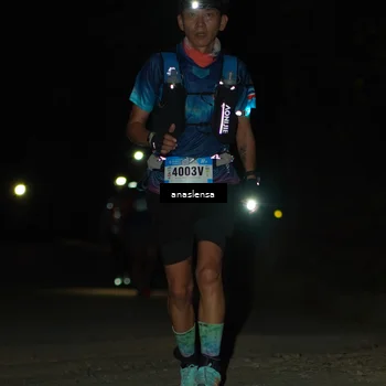 Runner Photo 5232976