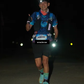 Runner Photo 5232984