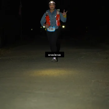 Runner Photo 5233045