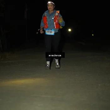 Runner Photo 5233048