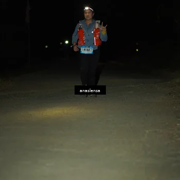 Runner Photo 5233049