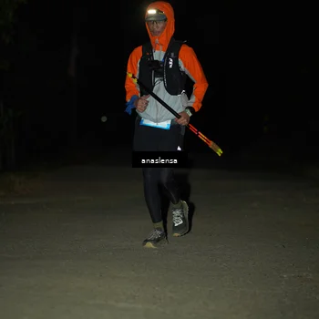 Runner Photo 5233106