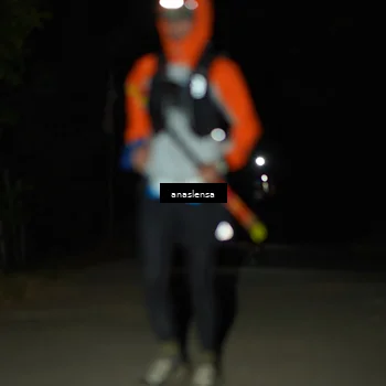 Runner Photo 5233135