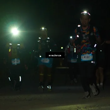 Runner Photo 5233185