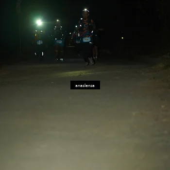 Runner Photo 5233189