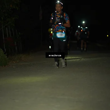 Runner Photo 5233242