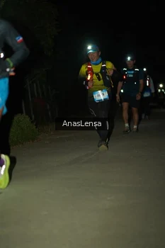 Runner Photo 5233279