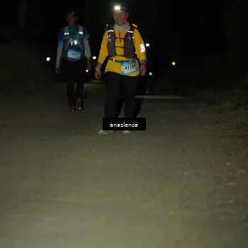 Runner Photo 5233348