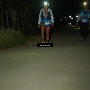 Runner Photo 5233399