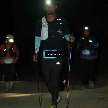 Runner Photo 5233481