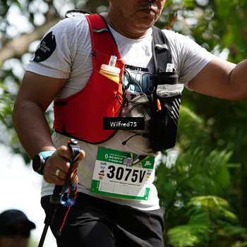 Runner Photo 5233806