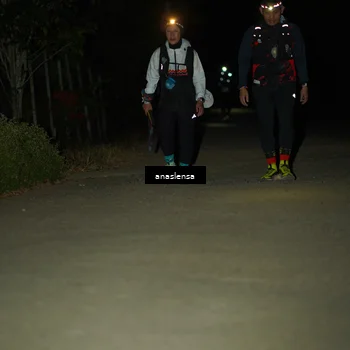 Runner Photo 5233851