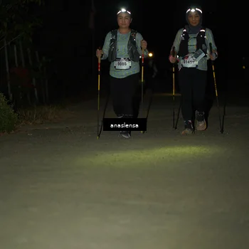 Runner Photo 5233854