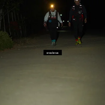 Runner Photo 5233884
