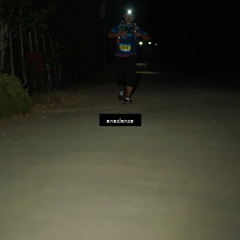 Runner Photo 5233941