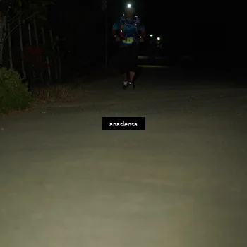 Runner Photo 5233943