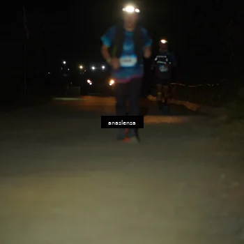 Runner Photo 5234042