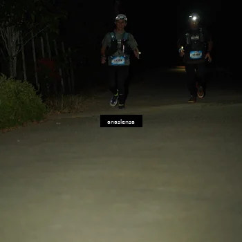 Runner Photo 5234043