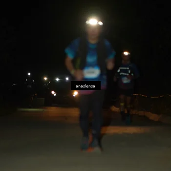 Runner Photo 5234044