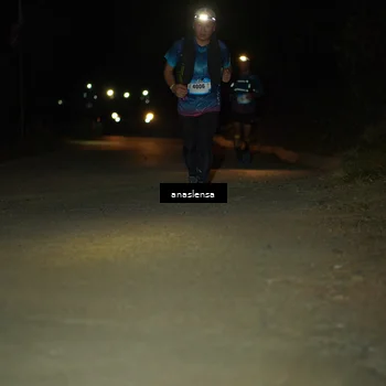 Runner Photo 5234065