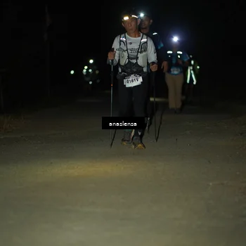 Runner Photo 5234239