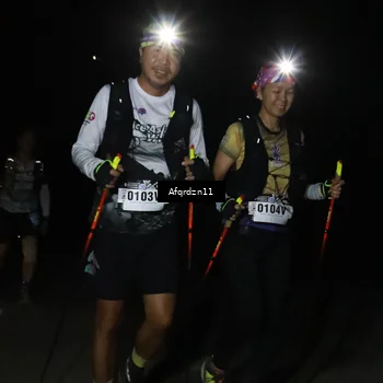 Runner Photo 5234255