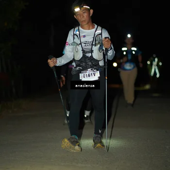 Runner Photo 5234258