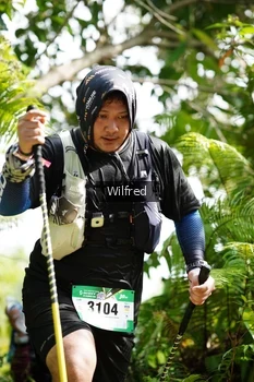 Runner Photo 5234279