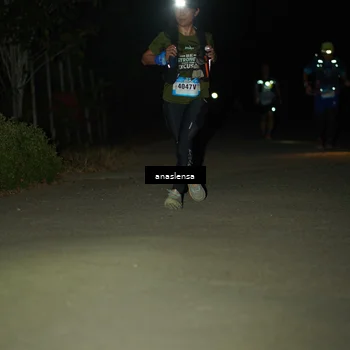 Runner Photo 5234299