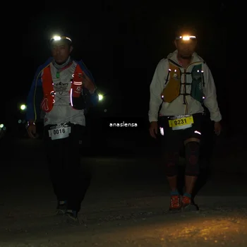 Runner Photo 5234525
