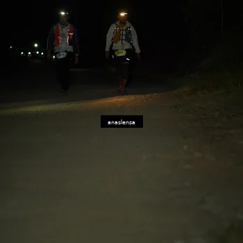 Runner Photo 5234529