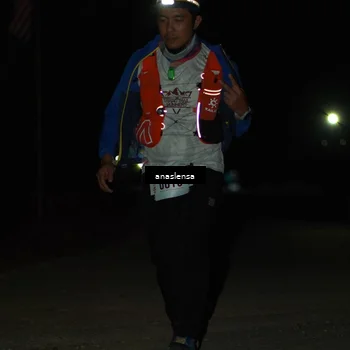 Runner Photo 5234546