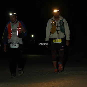 Runner Photo 5234556
